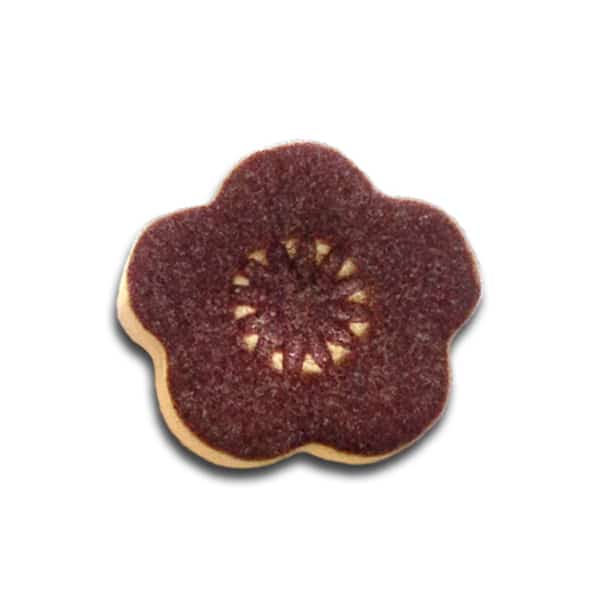 1407 aubergine