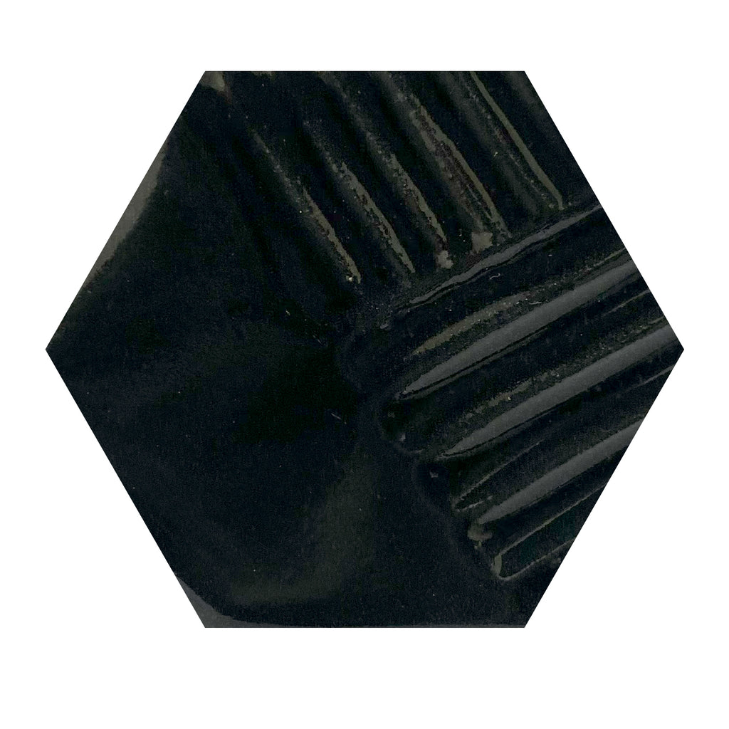 Shiny Black ^6