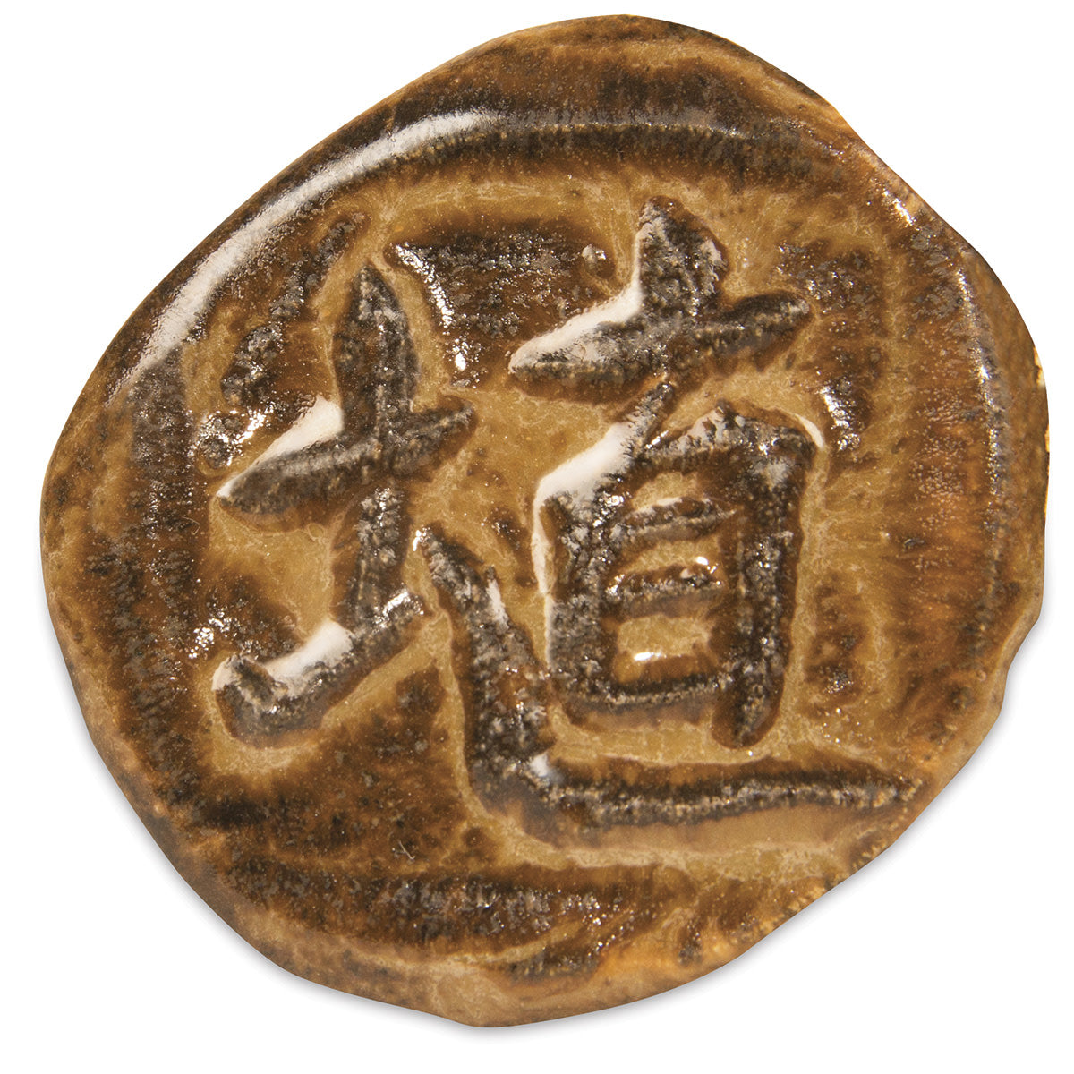 SH-31 Cacao Gloss