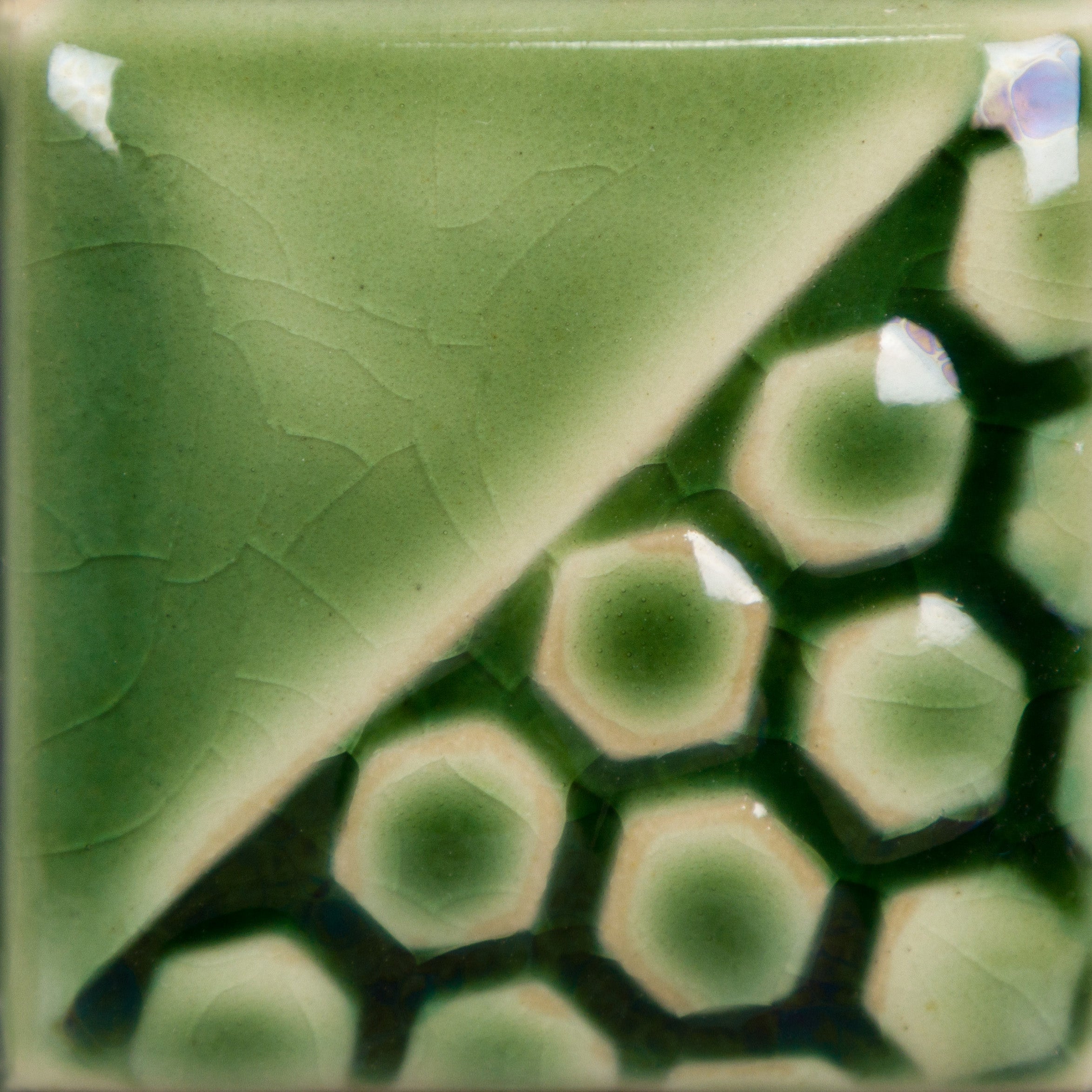 EL-154 Sea Mist Green
